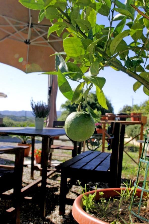 Serendipity House B&B Terranuova Bracciolini Exterior photo